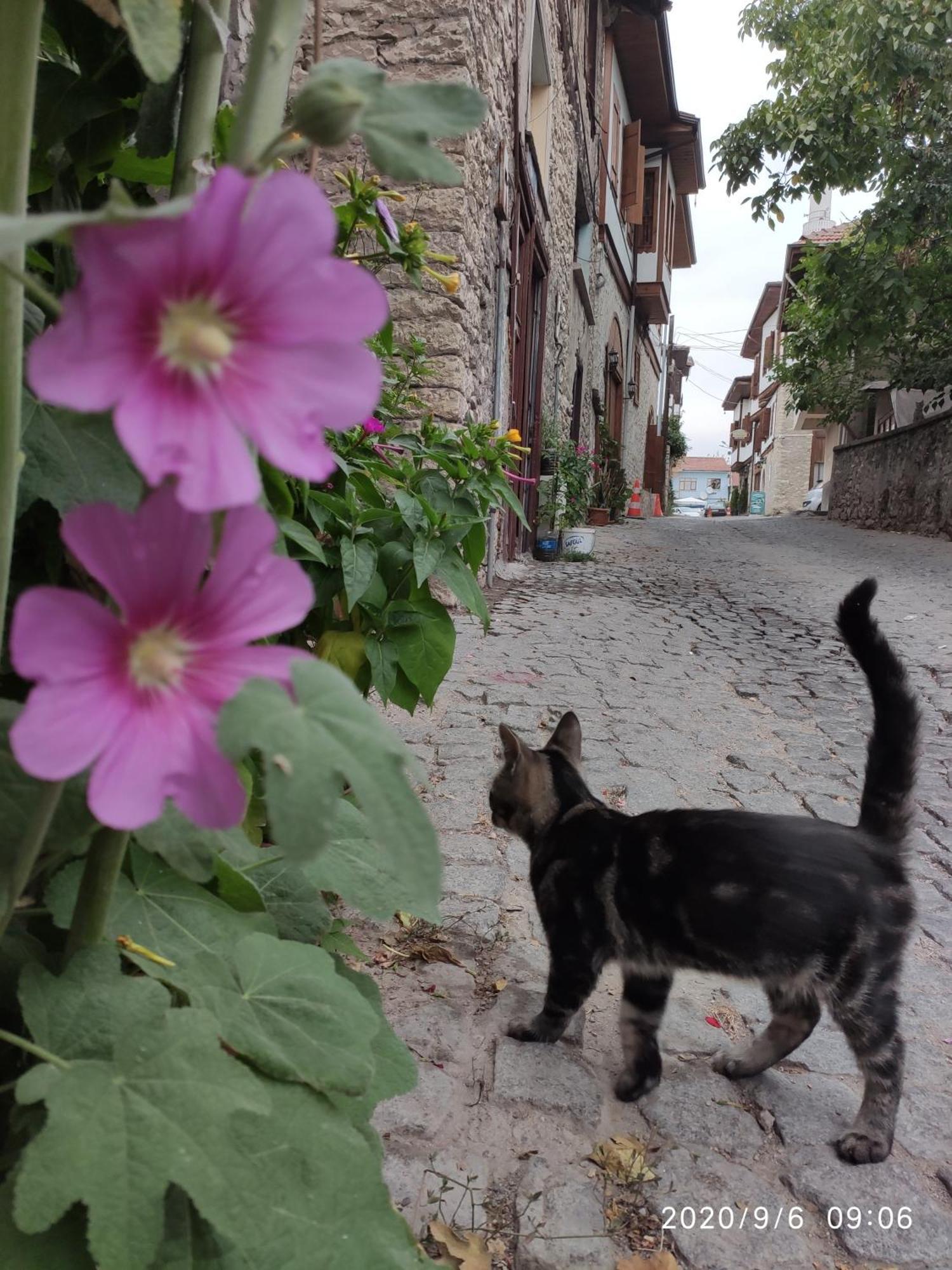 Demirkapi Konak Hotel Safranbolu Eksteriør billede
